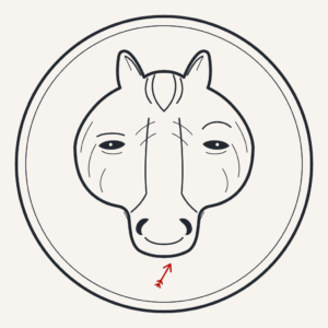 The Maverick sport profile crest - engraved emblem